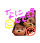 HC003（個別スタンプ：15）