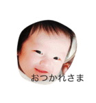 樹のスタンプ（個別スタンプ：11）