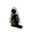 たまらんにゃ（個別スタンプ：5）