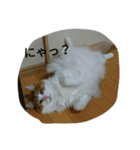 jeankun（個別スタンプ：3）