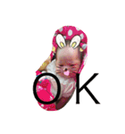 emmmmmma（個別スタンプ：7）