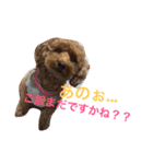 まろんちゅわん（個別スタンプ：3）