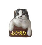 ムサシとほまれ（個別スタンプ：5）