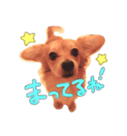 りくとひな（個別スタンプ：3）