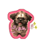 りくとひな（個別スタンプ：8）