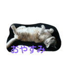 miru-ki-stamp（個別スタンプ：1）
