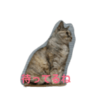 miru-ki-stamp（個別スタンプ：2）