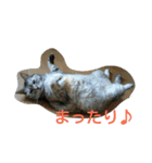 miru-ki-stamp（個別スタンプ：3）