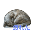 miru-ki-stamp（個別スタンプ：6）