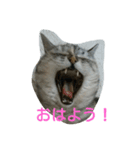 miru-ki-stamp（個別スタンプ：8）