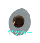 はるきん（個別スタンプ：6）