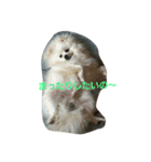 日常的？（個別スタンプ：3）