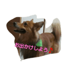 日常的？（個別スタンプ：4）