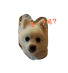 日常的？（個別スタンプ：7）