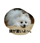 日常的？（個別スタンプ：8）