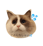 みかんと仲間たち（個別スタンプ：2）