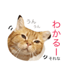 みかんと仲間たち（個別スタンプ：6）