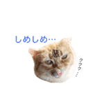 みかんと仲間たち（個別スタンプ：11）