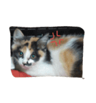 猫好きの方も、そうでない方もどうぞ！（個別スタンプ：2）
