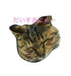 メイちゃんのスタンプ。（個別スタンプ：3）