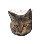 メイちゃんのスタンプ。（個別スタンプ：4）