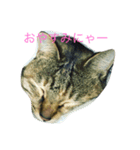 メイちゃんのスタンプ。（個別スタンプ：5）