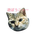メイちゃんのスタンプ。（個別スタンプ：6）
