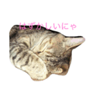 メイちゃんのスタンプ。（個別スタンプ：8）