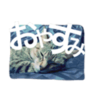 猫は人間です【あいさつ】（個別スタンプ：6）