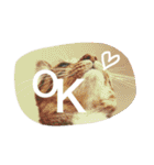 猫は人間です【あいさつ】（個別スタンプ：8）