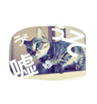 猫は人間です【あいさつ】（個別スタンプ：18）