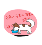 眉毛犬ラヴィ（個別スタンプ：1）