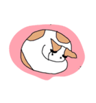 眉毛犬ラヴィ（個別スタンプ：2）