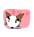 眉毛犬ラヴィ（個別スタンプ：4）