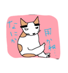眉毛犬ラヴィ（個別スタンプ：5）
