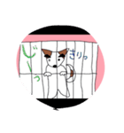 眉毛犬ラヴィ（個別スタンプ：6）