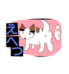 眉毛犬ラヴィ（個別スタンプ：8）