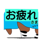 眉毛犬ラヴィ（個別スタンプ：10）