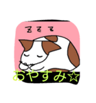眉毛犬ラヴィ（個別スタンプ：11）