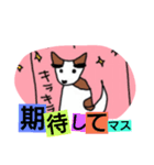 眉毛犬ラヴィ（個別スタンプ：20）