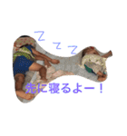 G＆T（個別スタンプ：2）