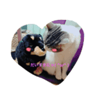 ねこのみゅう（個別スタンプ：7）
