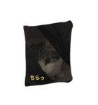 ねこのみゅう（個別スタンプ：8）