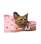 高嶺のうにさん（個別スタンプ：2）