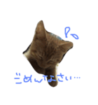 高嶺のうにさん（個別スタンプ：10）