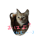 高嶺のうにさん（個別スタンプ：14）