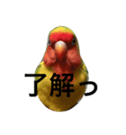 我が名はピノ2（個別スタンプ：8）