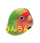 我が名はピノ2（個別スタンプ：14）