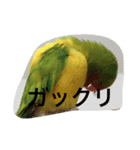 我が名はピノ2（個別スタンプ：15）