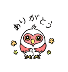 メガネフクロウのルルとララ（個別スタンプ：5）